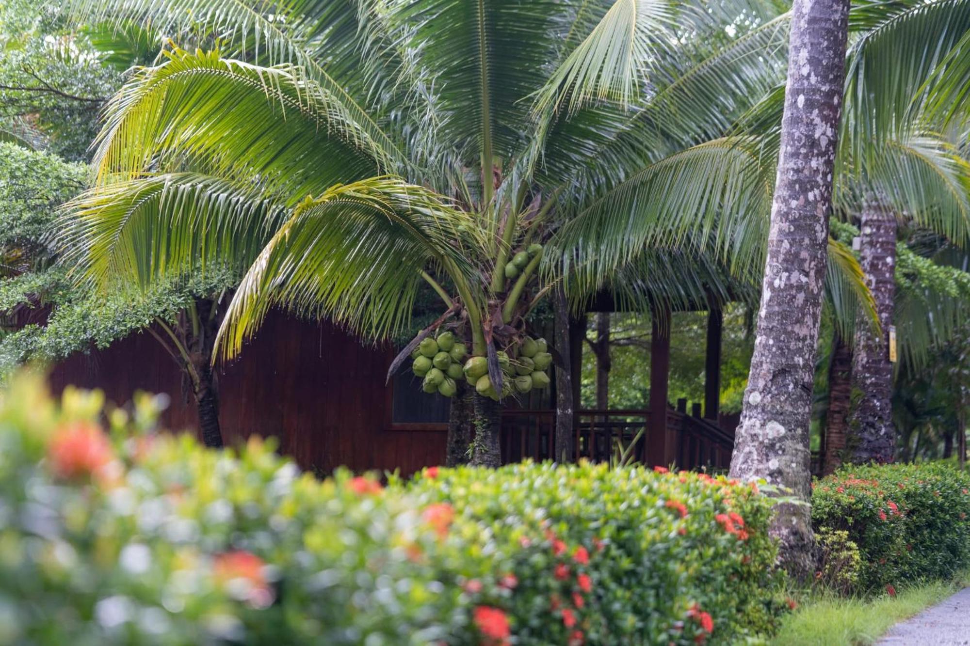 Mafiya Resort Thansour beach Extérieur photo